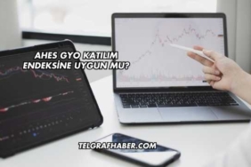 Ahes GYO Katılım Endeksine Uygun mu?