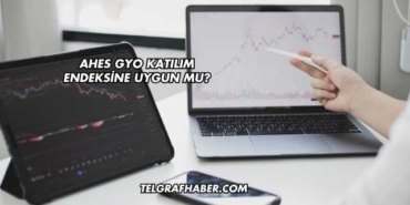 Ahes GYO Katılım Endeksine Uygun mu?