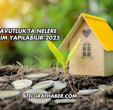 Arnavutluk'ta Nelere Yatırım Yapılabilir 2025