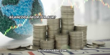 Bilançoda Neler Yer Alır?