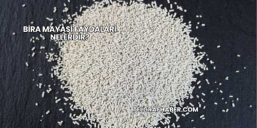 Bira Mayası Faydaları Nelerdir?