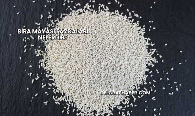 Bira Mayası Faydaları Nelerdir?