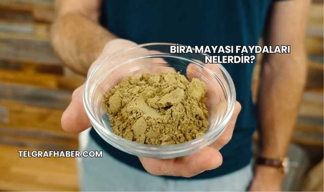Bira Mayası Faydaları Nelerdir?