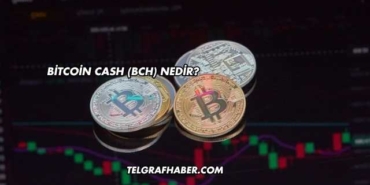 Bitcoin Cash (BCH) Nedir?