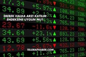 Ebebek Halka Arzı Katılım Endeksine Uygun mu?