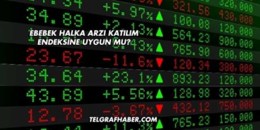 Ebebek Halka Arzı Katılım Endeksine Uygun mu?