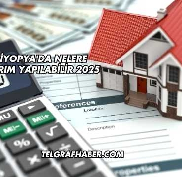 Etiyopya'da Nelere Yatırım Yapılabilir 2025