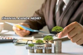 Finansal Ajanda Nedir?