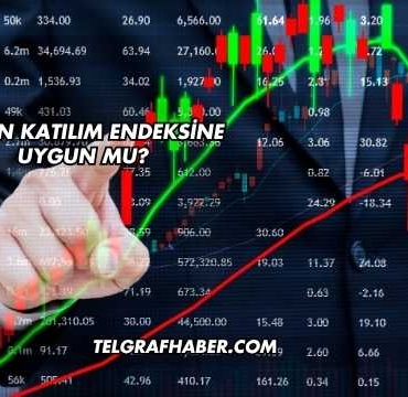 GESAN Katılım Endeksine Uygun mu?