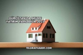 Gürcistan'da Nelere Yatırım Yapılabilir 2025