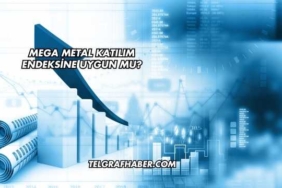 Mega Metal Katılım Endeksine Uygun mu?