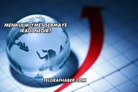 Menkul Kıymet Sermaye İradı Nedir?