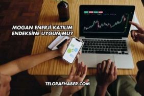 Mogan Enerji Katılım Endeksine Uygun mu?