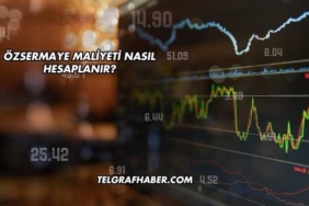 Özsermaye Maliyeti Nasıl Hesaplanır?