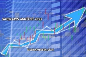Satışların Maliyeti 2025
