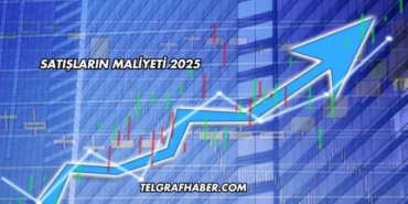 Satışların Maliyeti 2025