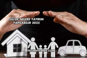 Şili'de Nelere Yatırım Yapılabilir 2025