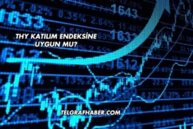 THY Katılım Endeksine Uygun mu?