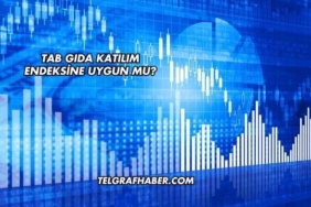 Tab Gıda Katılım Endeksine Uygun mu?