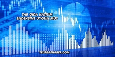 Tab Gıda Katılım Endeksine Uygun mu?