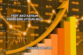 Yiğit Akü Katılım Endeksine Uygun mu?