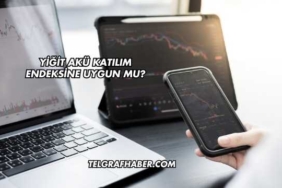 Yiğit Akü Katılım Endeksine Uygun mu?